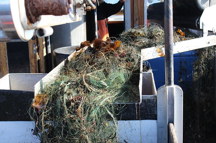 Miljonstöd för renare hav– förlorade fiskeredskap ska samlas in