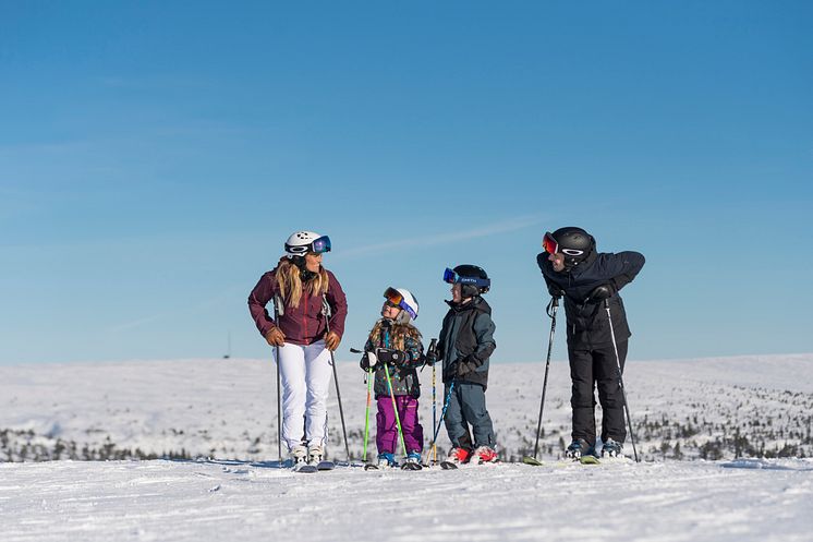 Sälen familj 2017