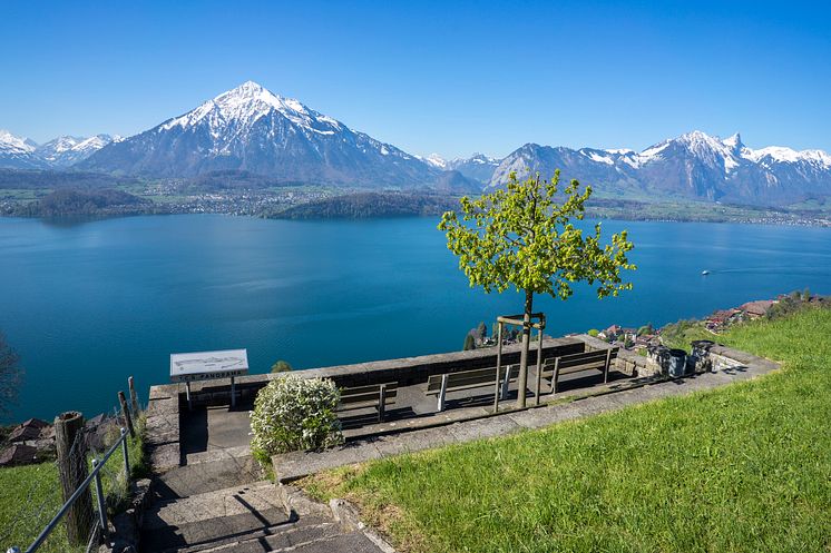 Aussichtspunkt in Sigriswil mit Blick auf Thunersee und Niesen