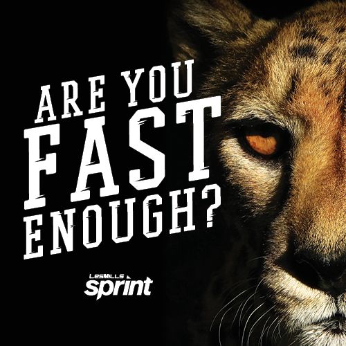 SPRINT®