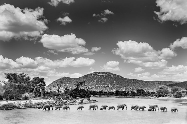 Ewaso Nyiro River, Samburu, Kenya 