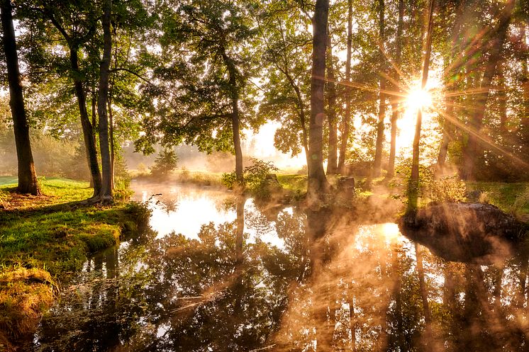 Burg (Spreewald)_Spreewald_Reflexionen_von_Bäumen_und_Sonne_in_der_Spree_bei_leichtem_Nebel
