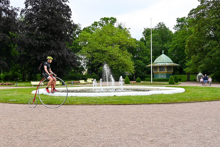 Höghjuling vid stadsparksdammen