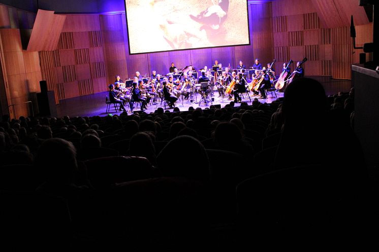 Peter och vargen, Foto: Gävle Konserthus