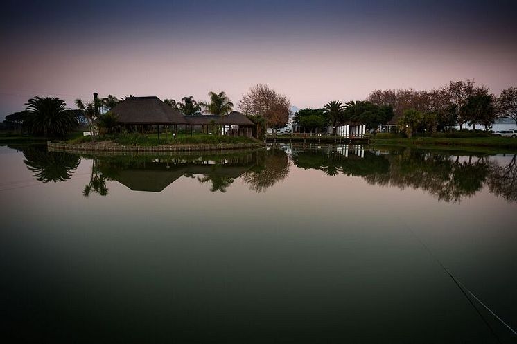 Stellenbosch Vineyards 