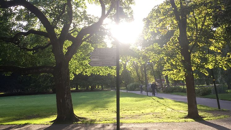 Sommar i Trädgårdsföreningen