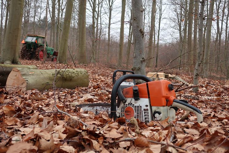 STIHL MS 361 i hvile