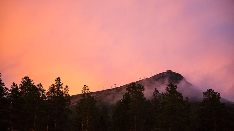 Hovärkens topp och Lofdalen skybar