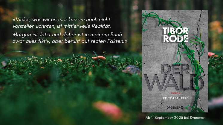 Rode, Der Wald_canva4