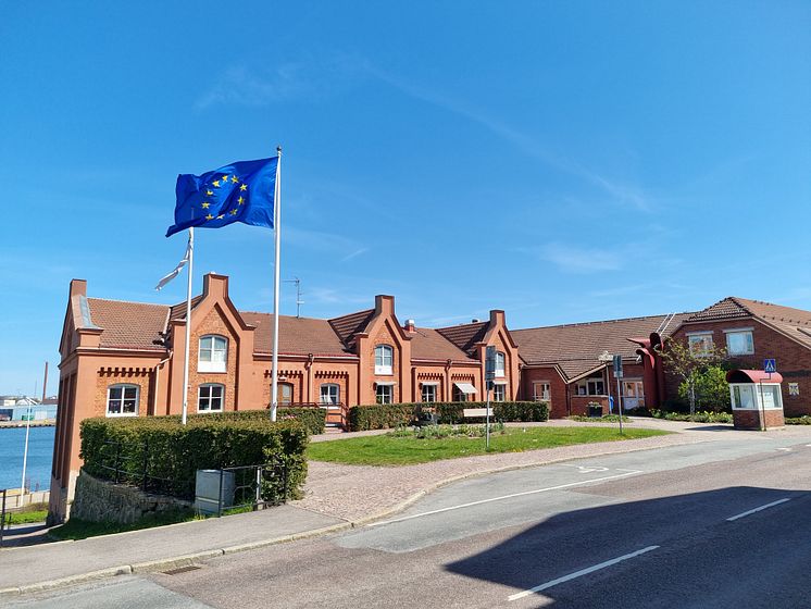 eu flagga