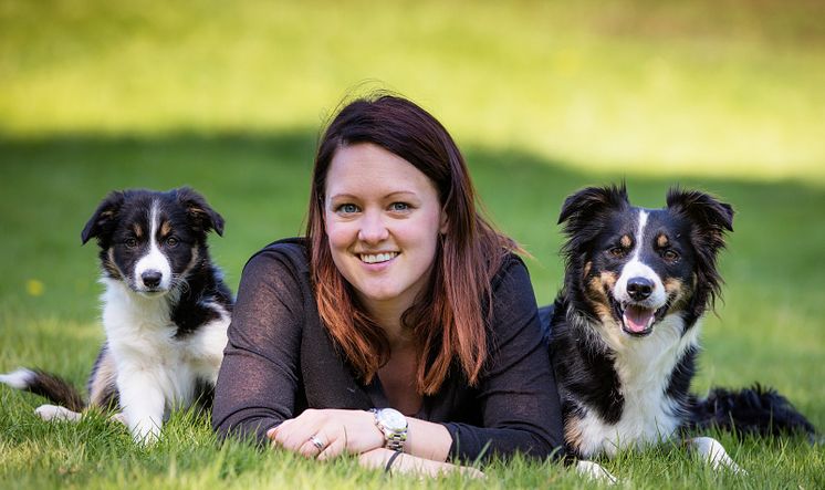 Border collies med sin matte