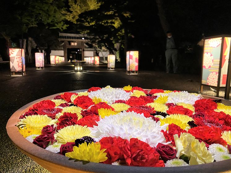 Hikari no Hanachozu @ Ashikaga School