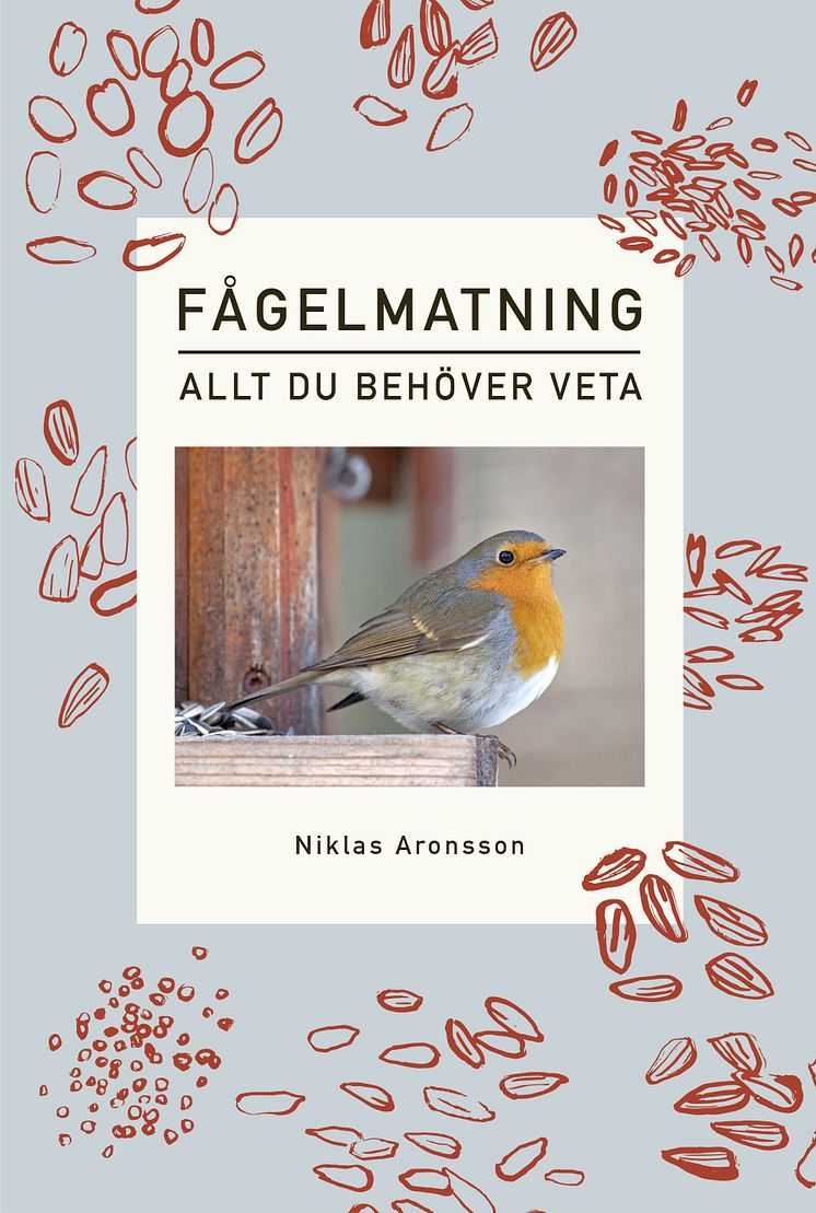 fågelmatning-allt-du-behöver-veta.jpg