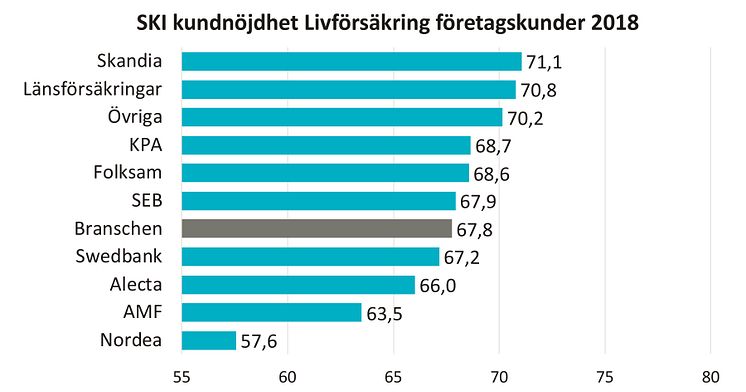 SKI kundnöjdhet Livförsäkring  2018