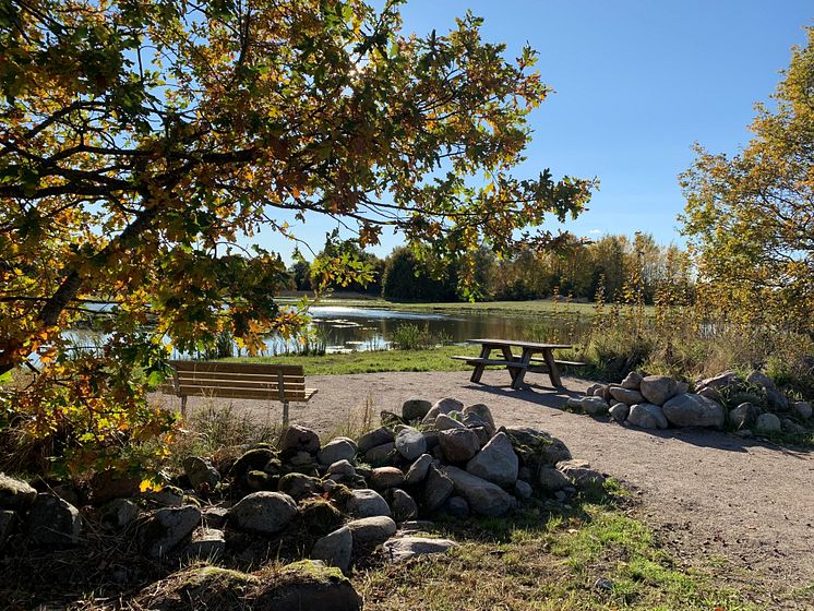 ny plats vid våtmark.jpg