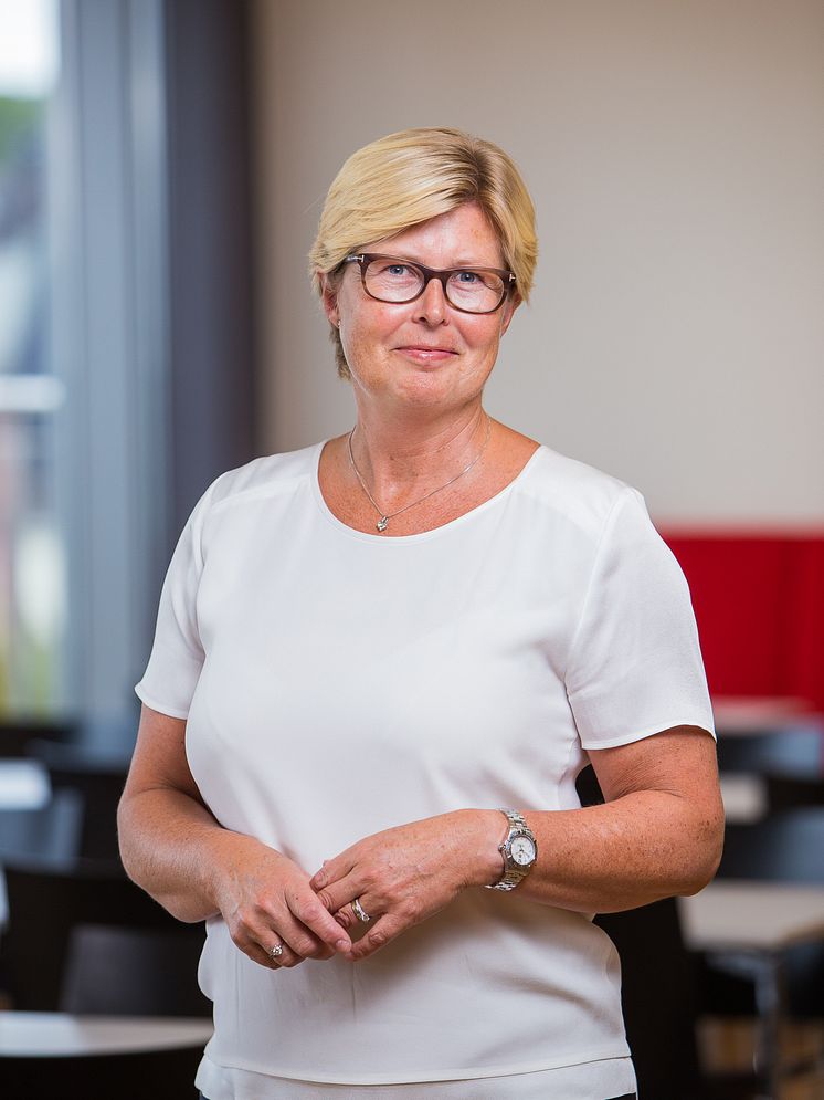 Ingjerd Birkelund, Experis Executive