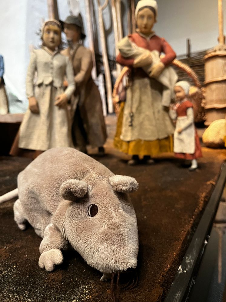 Kungstornet Nyköpingshus råttjakt