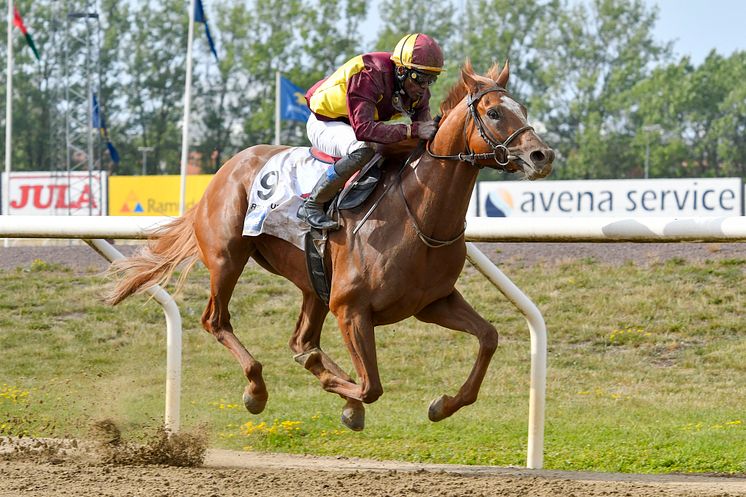 Svenskt Derby 2019: Seger för Red Cactus