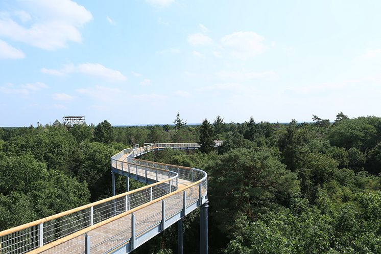 Baumkronenpfad Beelitz-Heilstätten 