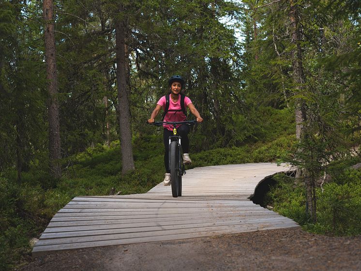 Trailcykling sommar