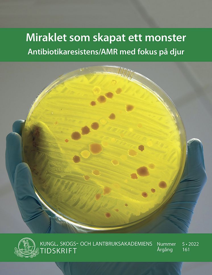 KSLAT-5-2022-Miraklet-som-skapat-ett-monsterT-1