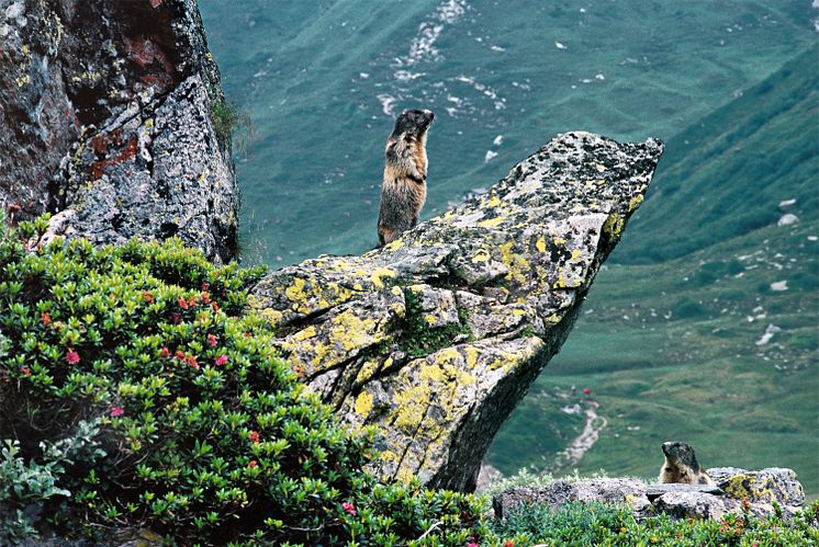 Naturpark Binntal 