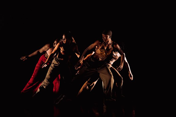 Company Nicolas Huchard - The barefoot diva