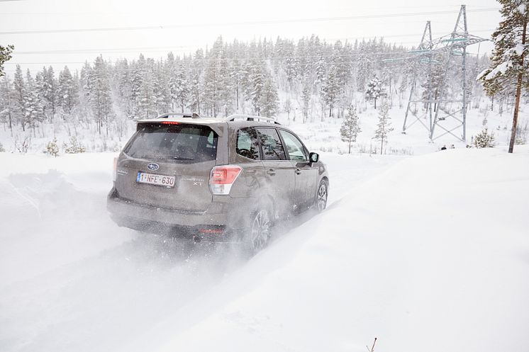 Forester är Årets Suv i Kanada