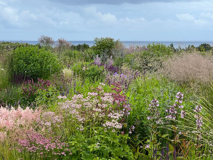 Mariann Gundersen (Justøy, Norway)_Nominee Garden design of the Year