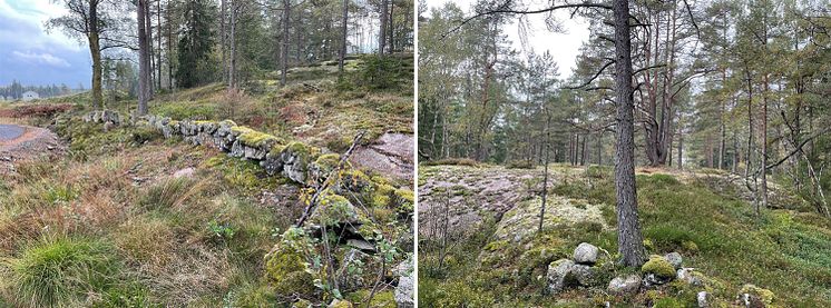 radararkitektur-lärketorpet-natur