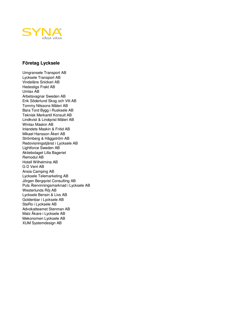 Företagen bakom Bästa Tillväxt 2008 Lycksele kommun.