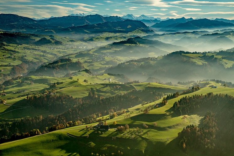 AlpenpanoramaImNapfgebiet(c)SchweizTourismus_JanGeerk