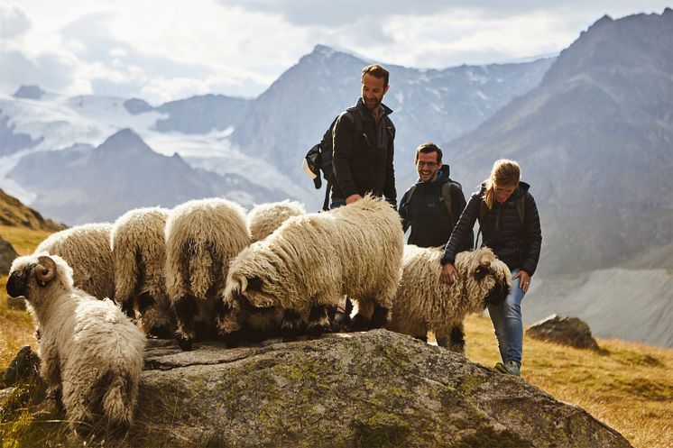 Zermatt, Stafelalp, Wanderung mit dem Hotelier vom Romantikhotel Julen