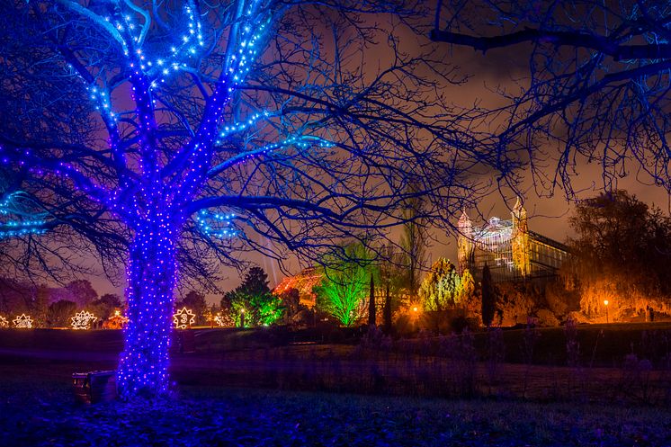 Christmas Garden Berlin