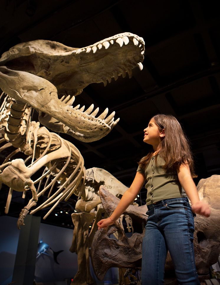 240411_nrm_vatten_trex_1659.jpg