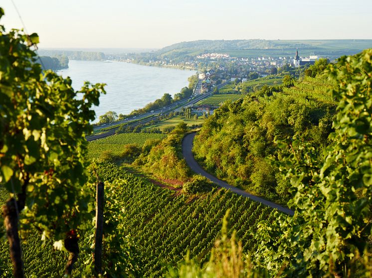 Nierstein with Rhein River