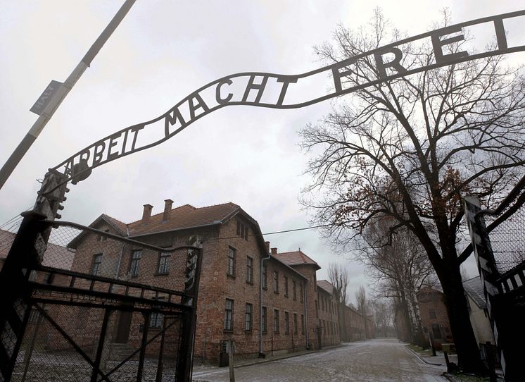 Auschwitz: Journey Into Hell