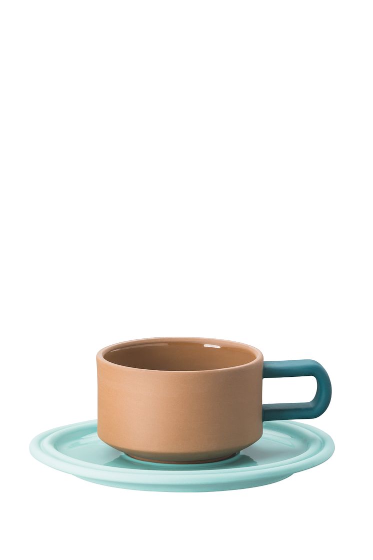 R_Tongue_Peacock_Cup_saucer_4_low