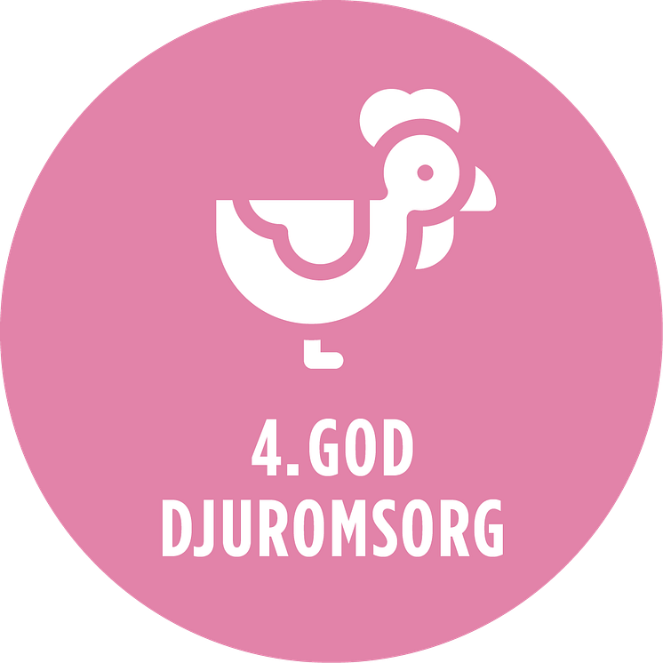 Stjarnagg_Grafik_Fokusomrade_4_God_djuromsorg