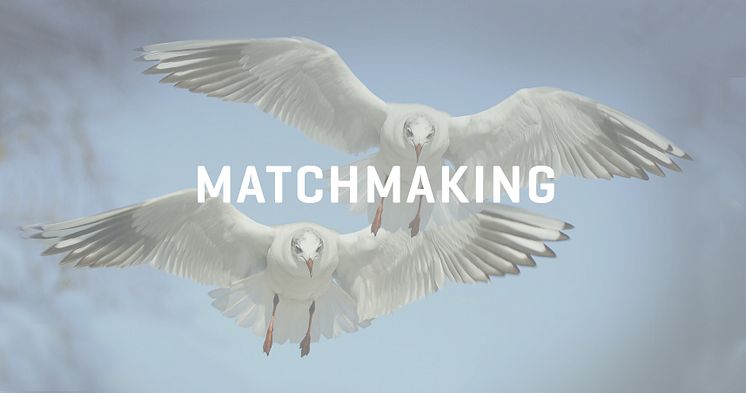 20130-Header_Matchmaking_merBeige.jpg
