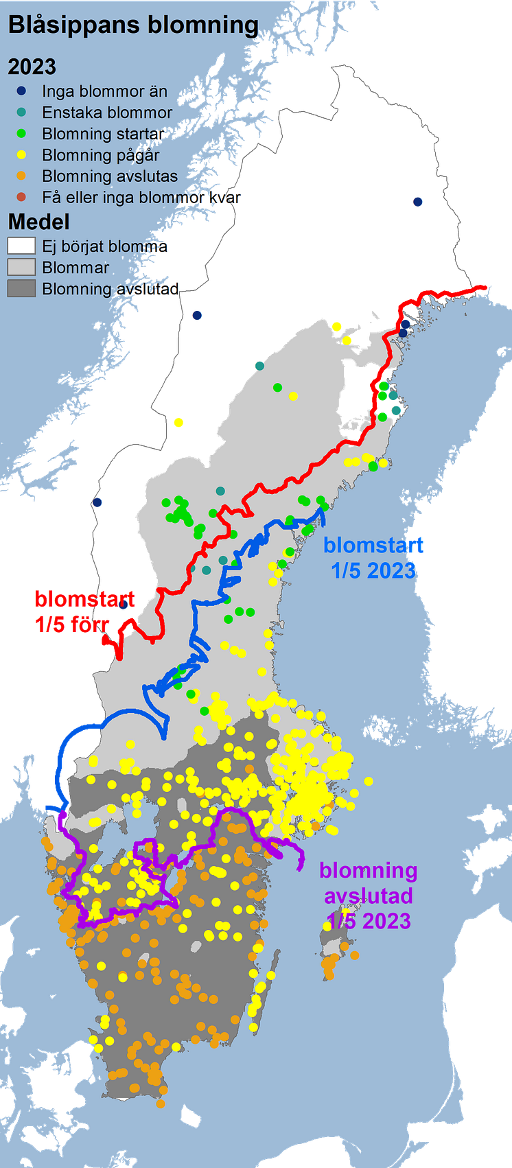 blå2023