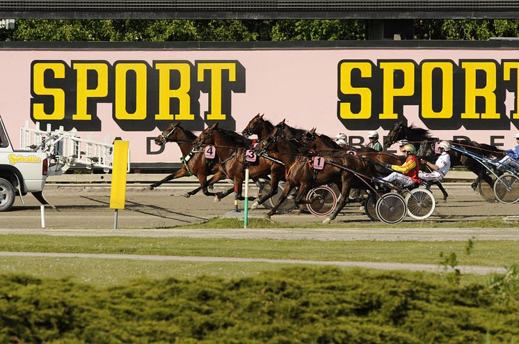 Sportbladet och Solvalla samarbete