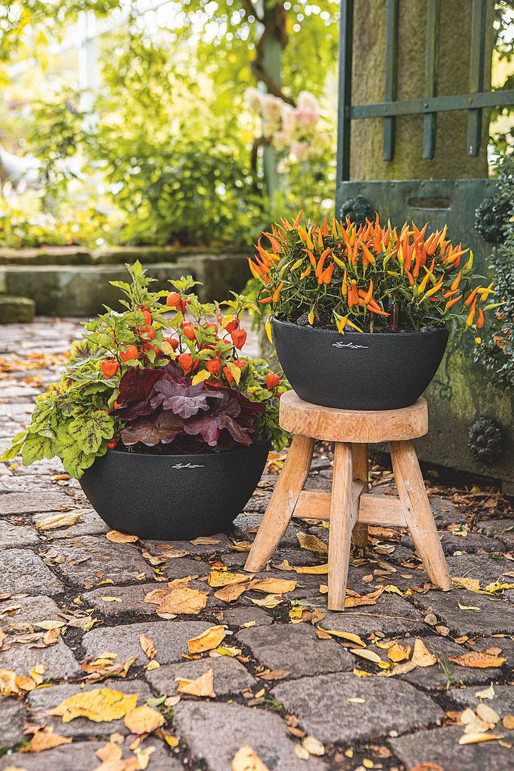 Schaurig-schöne Deko für den Herbstgarten