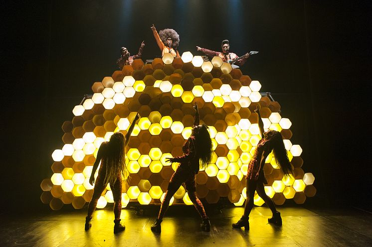 Hot Brown Honey - pressbild