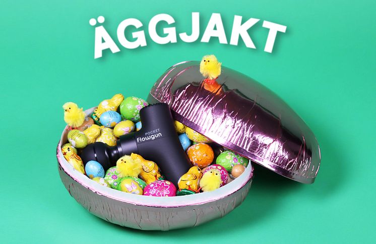 äggjakt