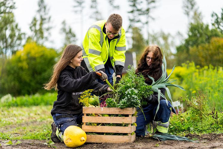 Elever på Naturbruksskolan Sötåsen i Töreboda