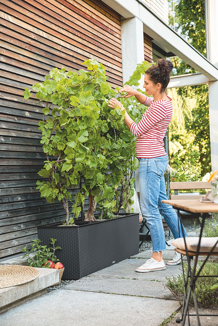 Ab in den Garten