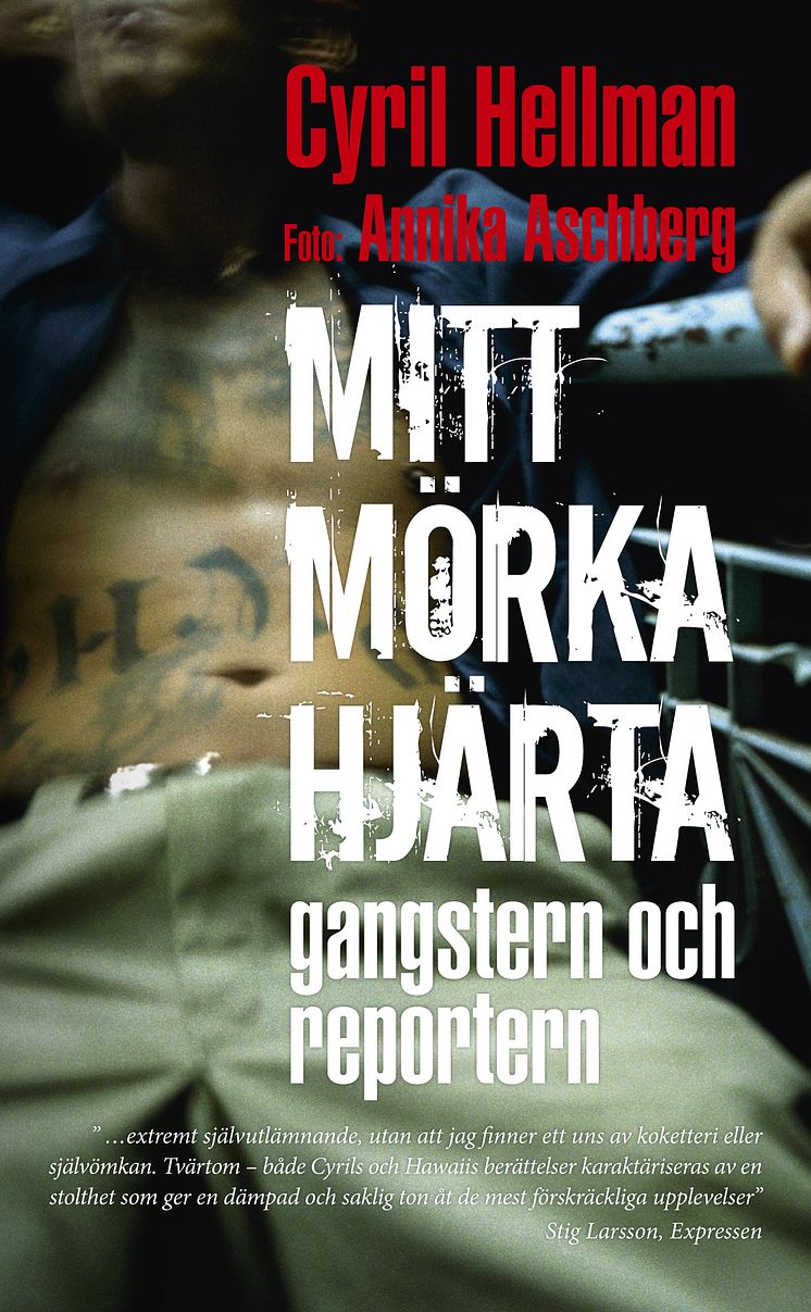 mitt mörka hjärta omslag