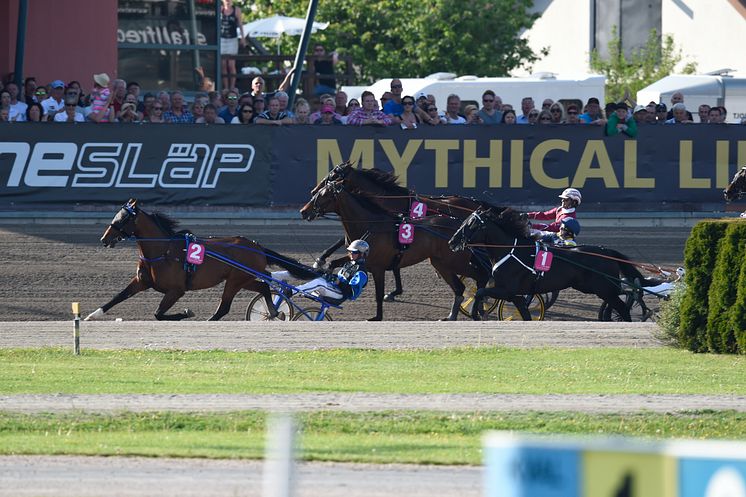 Timoko med Björn Goop