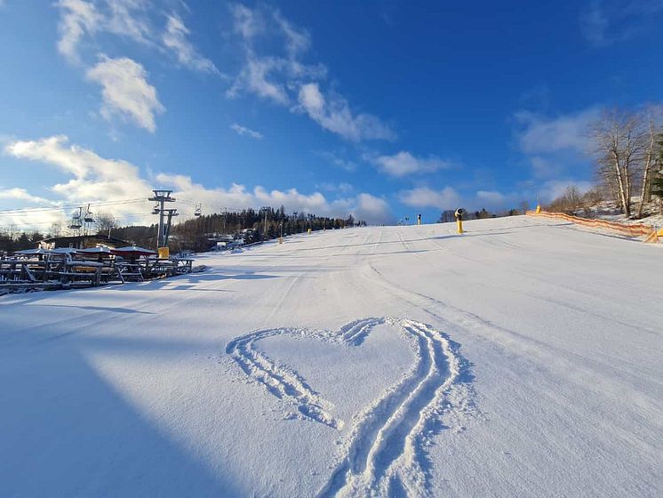 Wurzelrudi_Winter©Wurzelrudi46.jpg